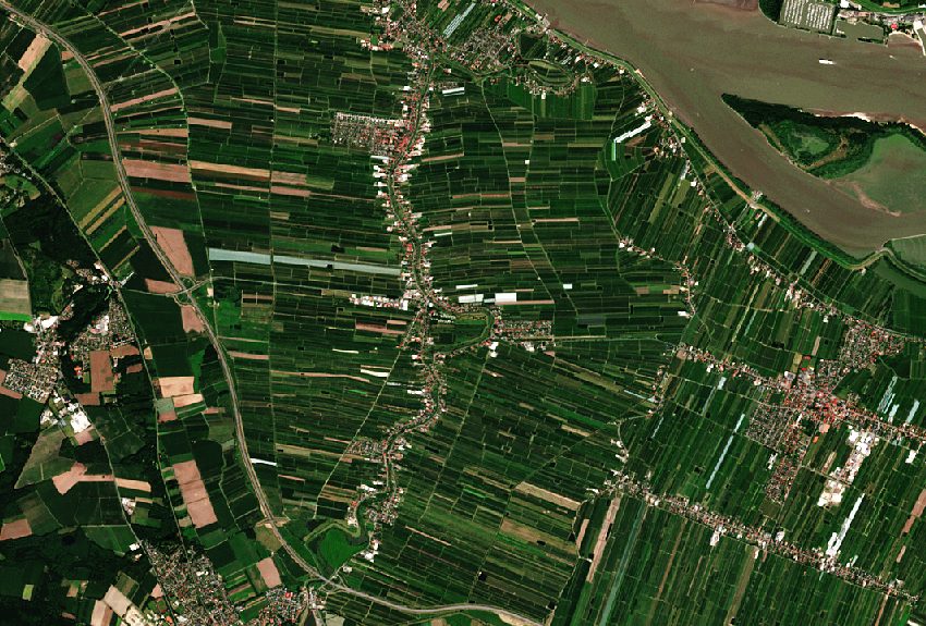 Read more about the article #MonitoringMonday – Germany’s largest orchard