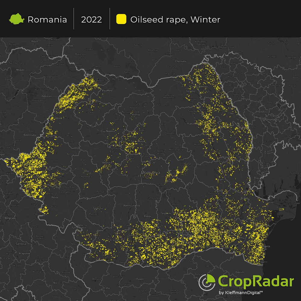 Read more about the article Winterraps-Ergebnisse für Rumänien