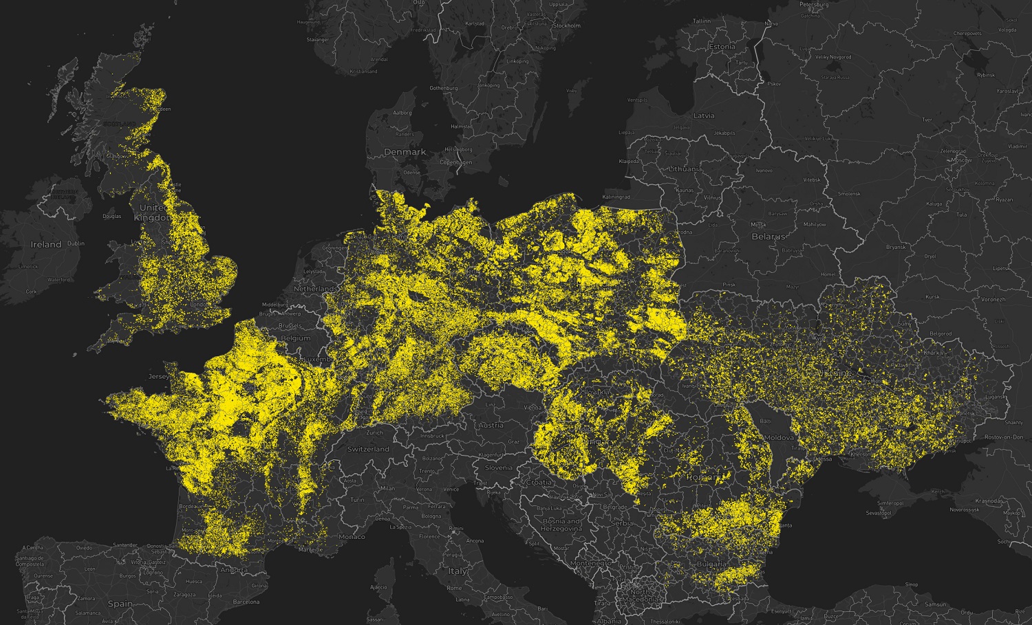 Read more about the article Oilseed rape cultivation Europe: Over 6 million ha measured