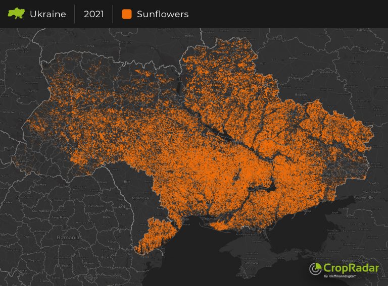 Girasol Ucrania – ¿Cómo afecta la guerra al mercado mundial? – CropRadar