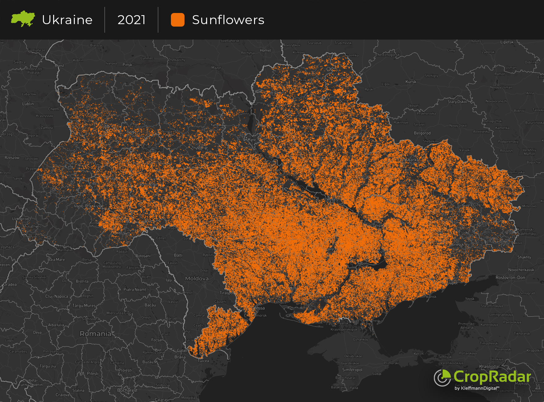 Read more about the article Sunflower Ukraine – How does the war affect the global market?