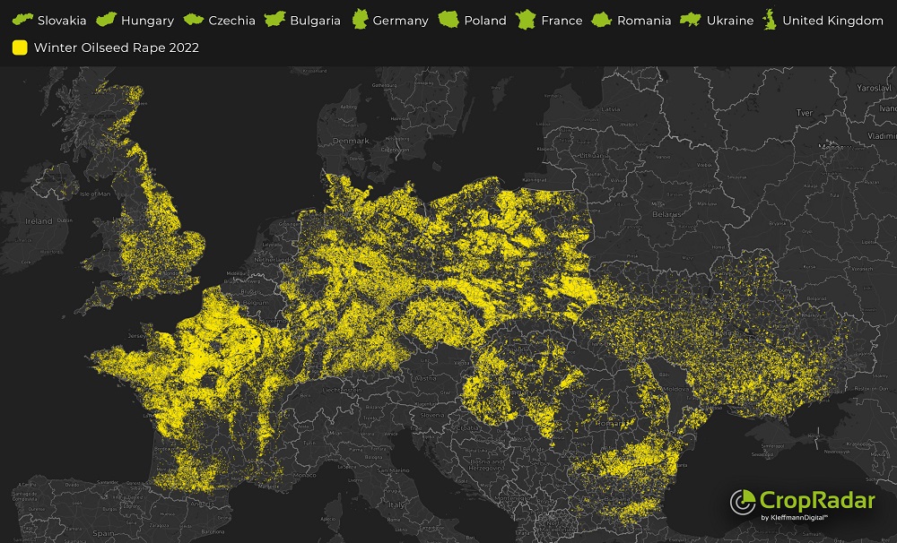 Read more about the article Europe rapeseed harvest forecast at 5-year high in 2022