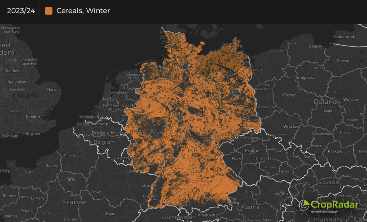 Read more about the article Deutlicher Rückgang beim Wintergetreide – Anbauflächen in Deutschland um über 6% gesunken